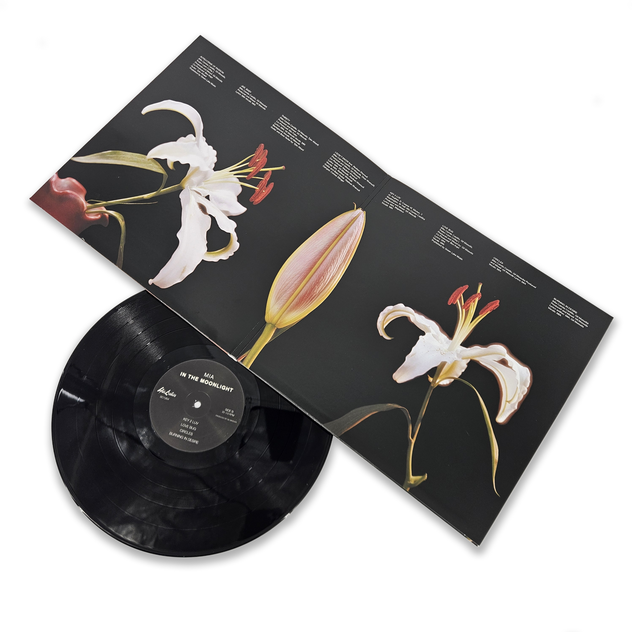In The Moonlight – Star Creature